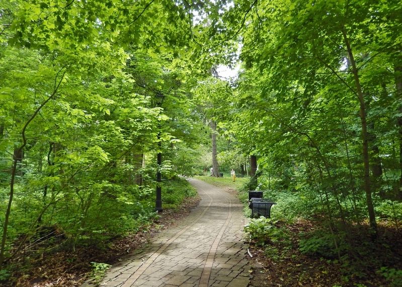 MacDonald House Driveway image. Click for full size.