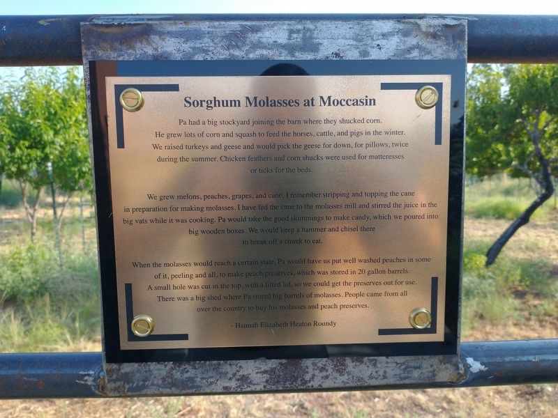 Sorghum Molasses at Moccasin Marker image. Click for full size.