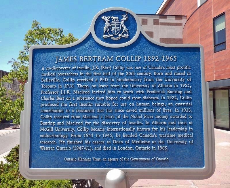 James Bertram Collip 1892-1965 Marker<br>(<i>east side � English</i>) image. Click for full size.