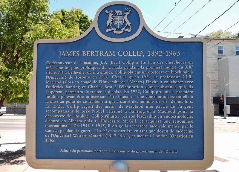 James Bertram Collip 1892-1965 Marker<br>(<i>west side &bull; Fran�ais</i>) image. Click for full size.