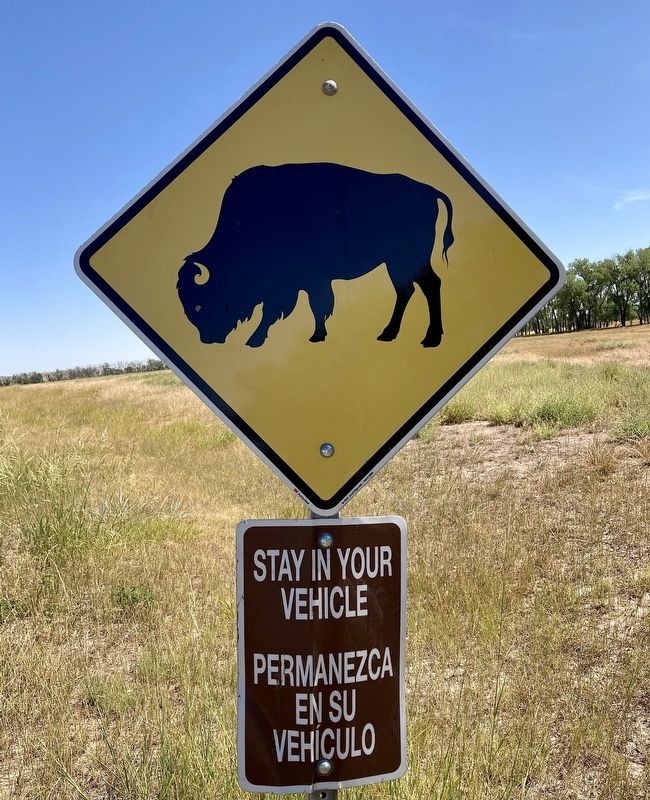 Road Sign. Click for full size. Road Sign image. Click for full size.