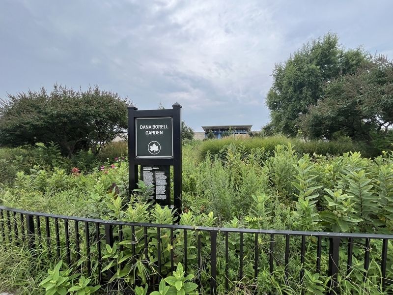 Dana Borell Garden in Manhattan Beach image. Click for full size.