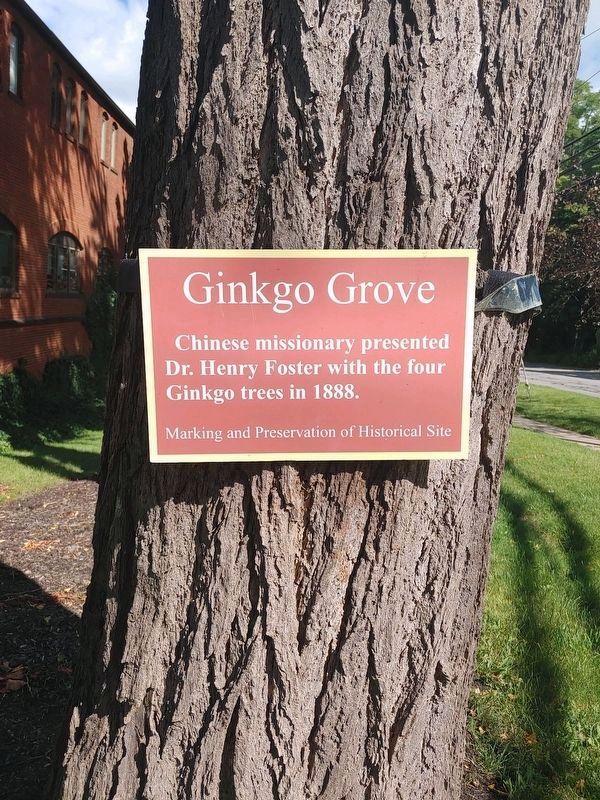 Ginkgo Grove Marker image. Click for full size.