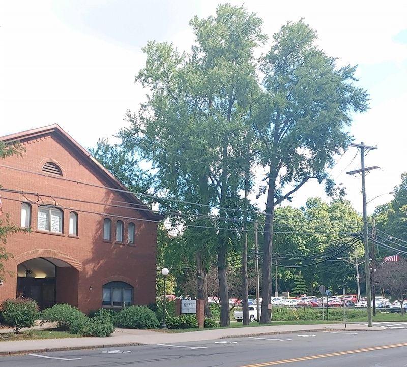 Ginkgo Grove image. Click for full size.