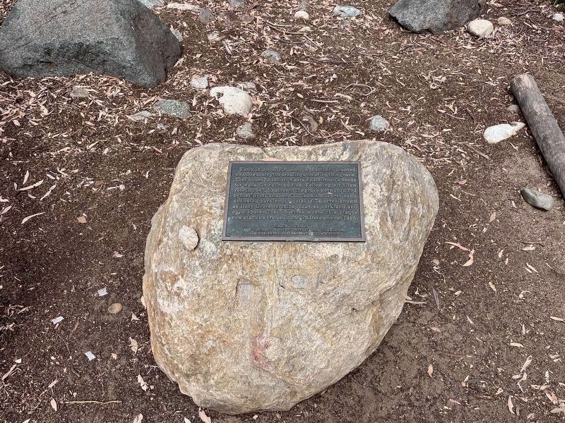 Wide View Photo of the Hosp Grove Marker image. Click for full size.