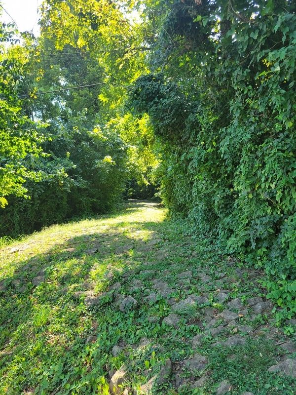 The Cobblestone Path image. Click for full size.