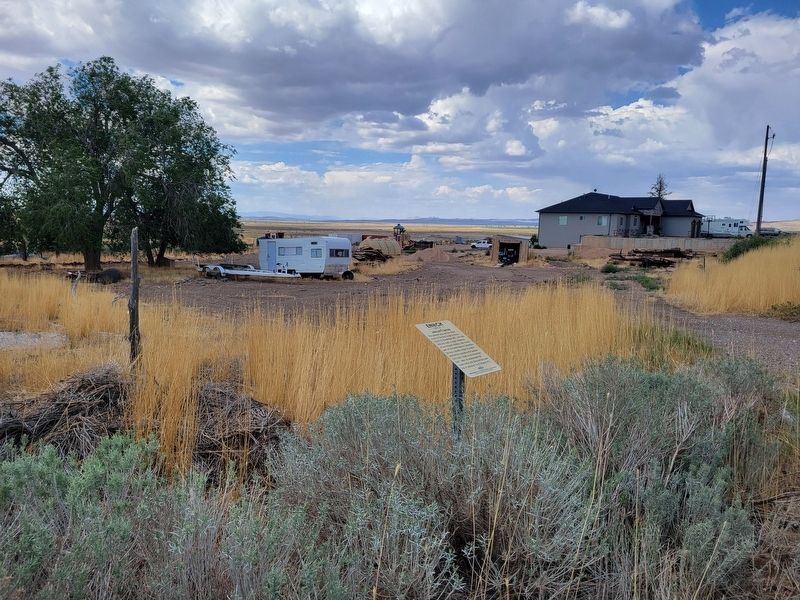 Johnson's Spring Marker. Click for full size. Johnson's Spring Marker image. Click for full size.