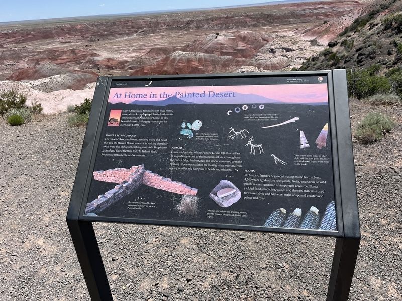 At Home in the Painted Desert Marker. Click for full size. At Home in the Painted Desert Marker image. Click for full size.