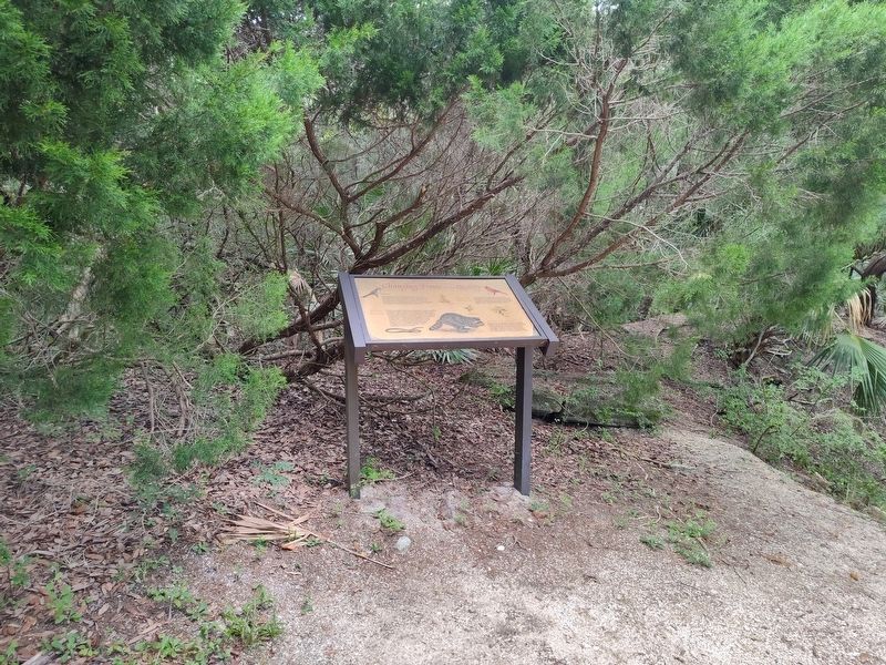 Changing Times in the Quarry Marker image. Click for full size.