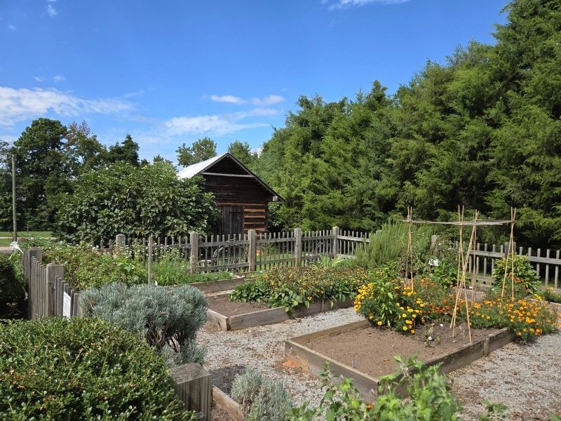 Outbuilding and garden to the north of Mundy House. Click for full size. Outbuilding and garden to the north of Mundy House image. Click for full size.