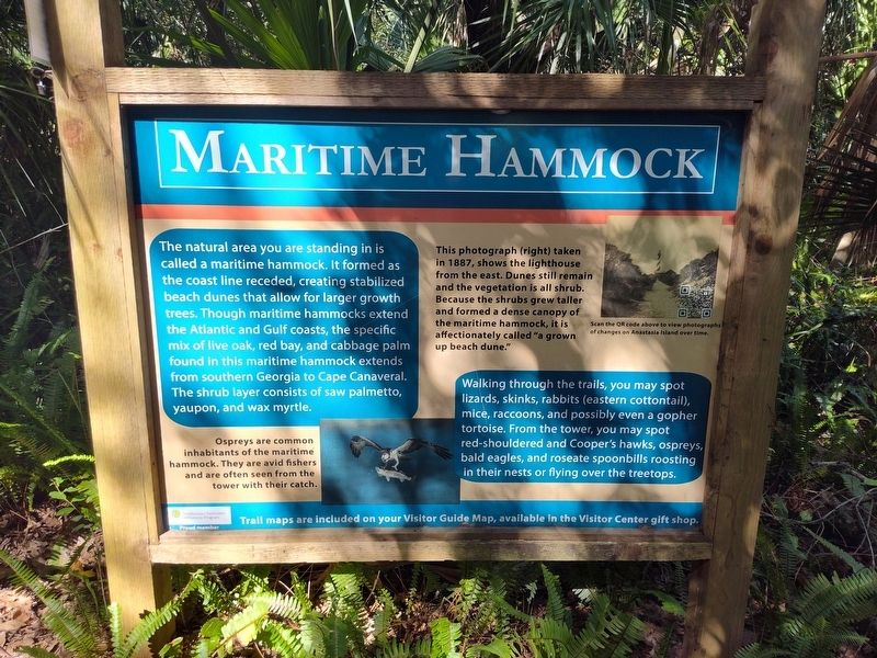 Maritime Hammock Marker image. Click for full size.