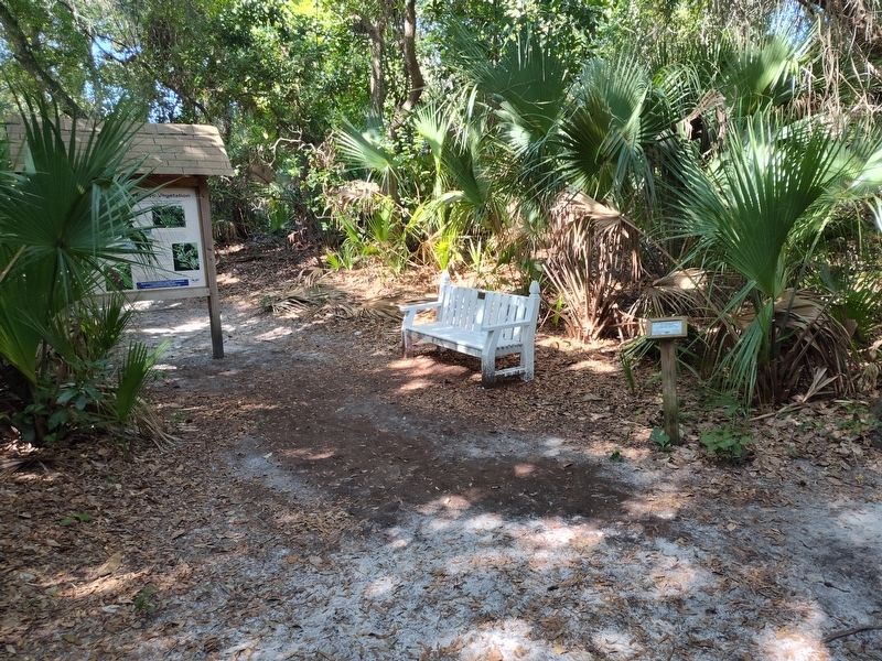 Coastal Hammock Native Vegitation - Coastal Hammock Wildlife Marker. Click for full size. Coastal Hammock Native Vegitation - Coastal Hammock Wildlife Marker image. Click for full size.