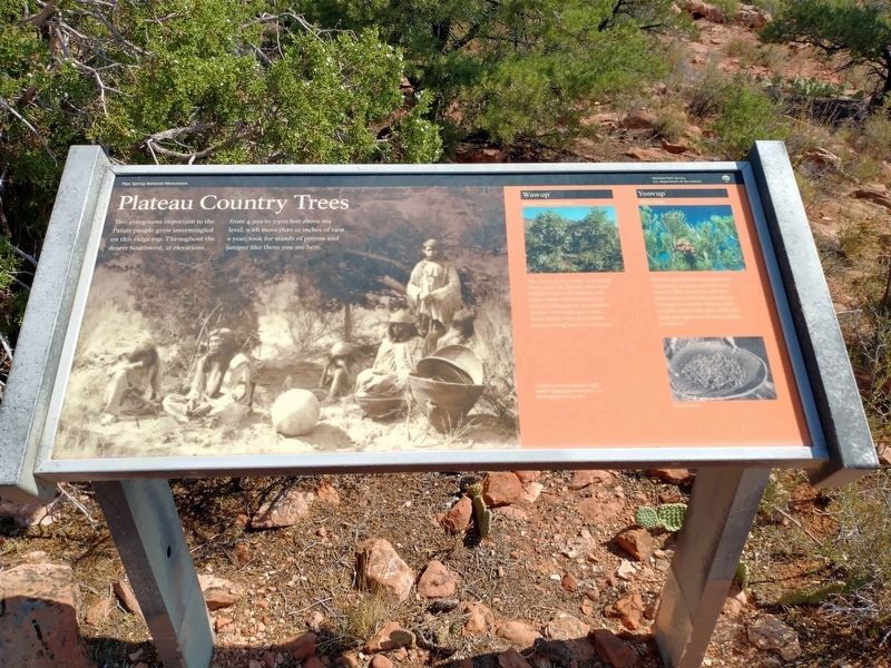 Plateau Country Trees Marker image. Click for full size.