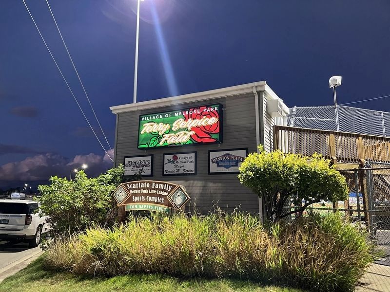 Terry Serpico Field image. Click for full size.