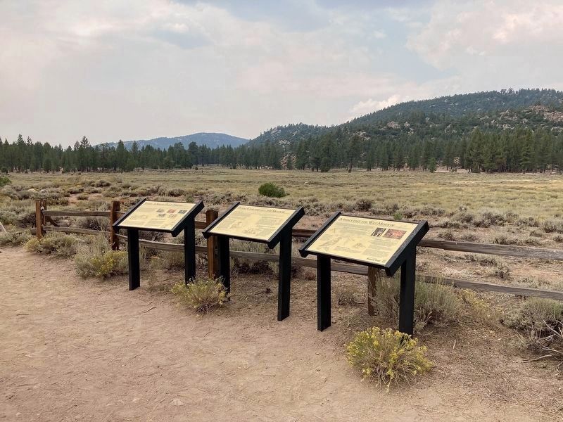 Markers and Meadow image. Click for full size.