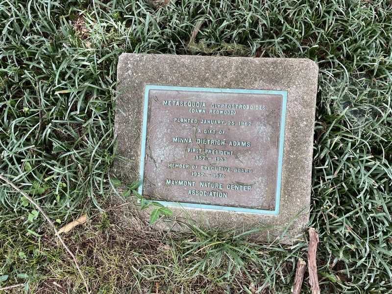 Minna Dietrich Adams Marker image. Click for full size.