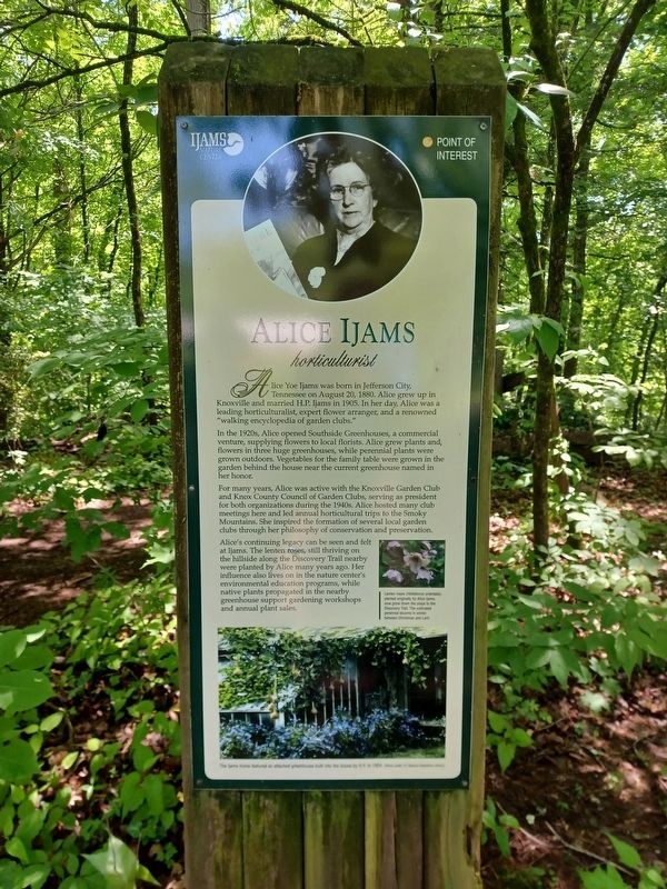 Alice Ijams Marker. Click for full size. Alice Ijams Marker image. Click for full size.