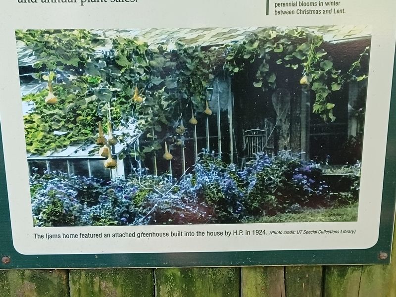 Alice Ijams: Horticulturalist Marker — bottom image. Click for full size. Alice Ijams: Horticulturalist Marker — bottom image image. Click for full size.