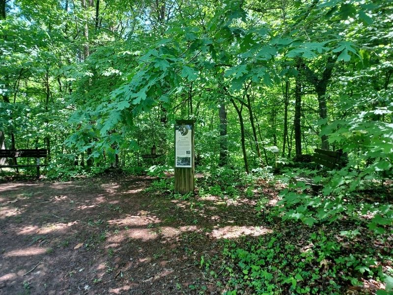 Alice Ijams: Horticulturalist Marker. Click for full size. Alice Ijams: Horticulturalist Marker image. Click for full size.