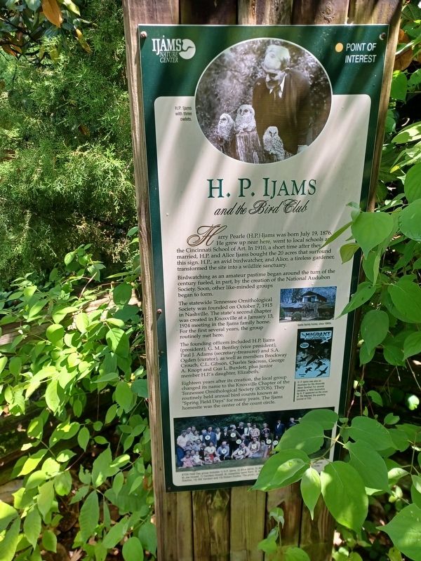 H. P. Ijams Marker. Click for full size. H. P. Ijams Marker image. Click for full size.