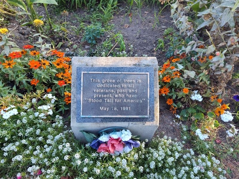 Friendship Park Veterans Memorial Marker image. Click for full size.