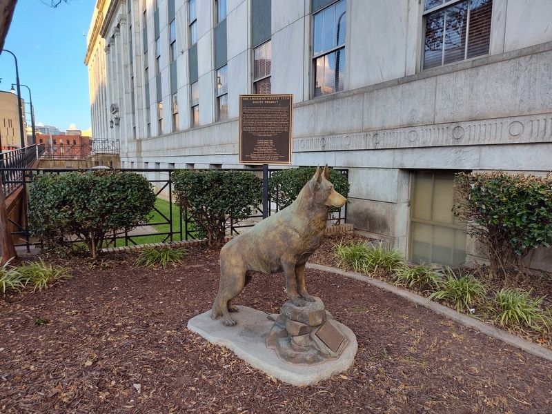 The American Kennel Club Dogny Project Marker image. Click for full size.