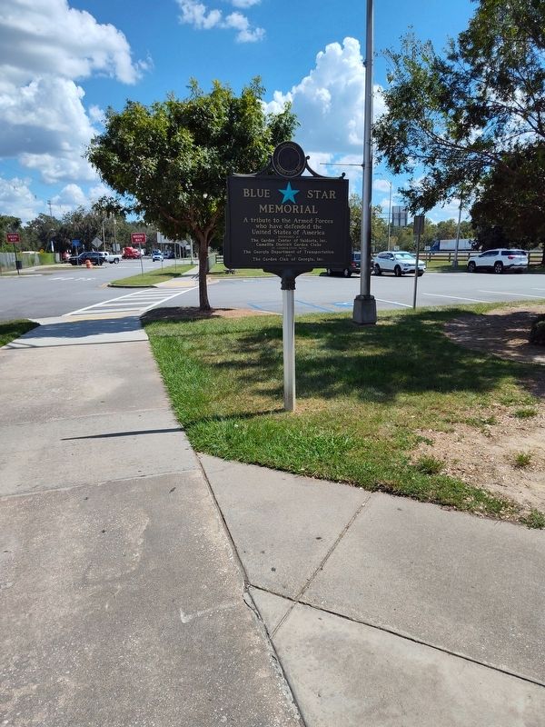 The State of Georgia Salutes Marker image. Click for full size.