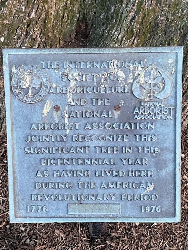 Significant Tree Marker image. Click for full size.