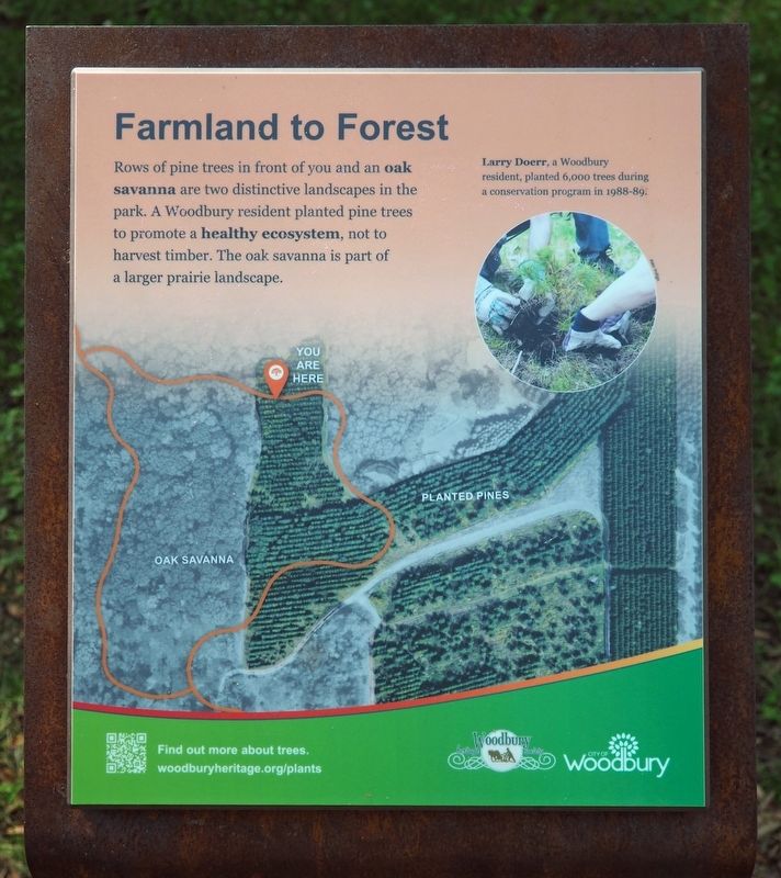 Farmland to Forest Marker. Click for full size. Farmland to Forest Marker image. Click for full size.