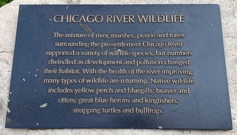 Chicago River Wildlife Marker image. Click for full size.