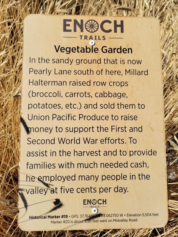 Vegetable Garden Marker image. Click for full size.