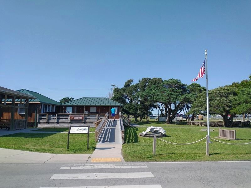 Ocracoke Island Discovery Center image. Click for full size.