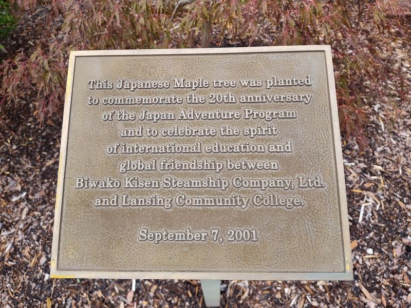 Japanese Maple Tree Marker image. Click for full size.