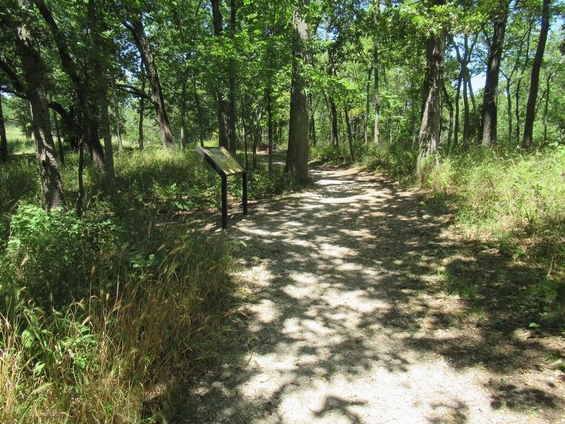 Bloody Hill walking trail.. Click for full size. Bloody Hill walking trail. image. Click for full size.