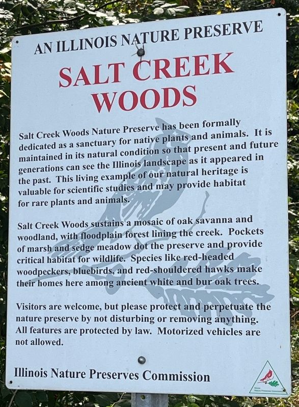 Salt Creek Woods Marker. Click for full size. Salt Creek Woods Marker image. Click for full size.