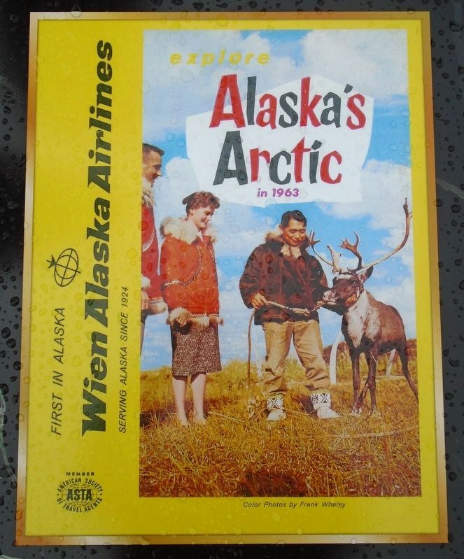 Wien Alaska Airlines 1963 Advertisement. Click for full size. Wien Alaska Airlines 1963 Advertisement image. Click for full size.