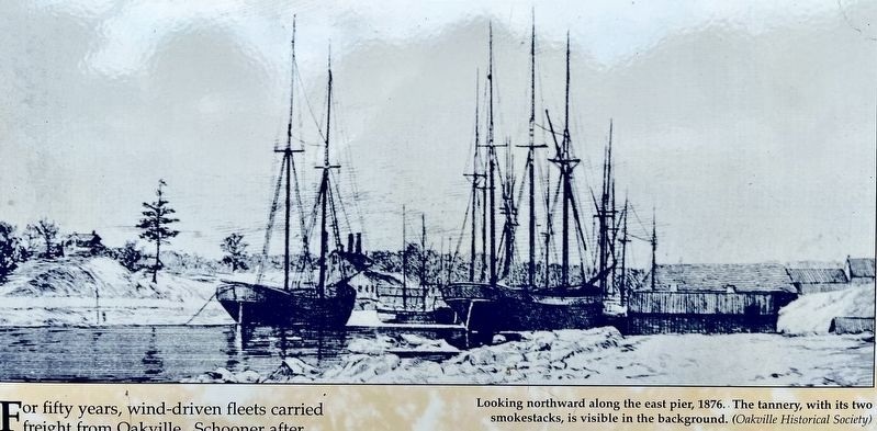 The Young Port Matures marker photo detail. Click for full size. The Young Port Matures marker photo detail image. Click for full size.