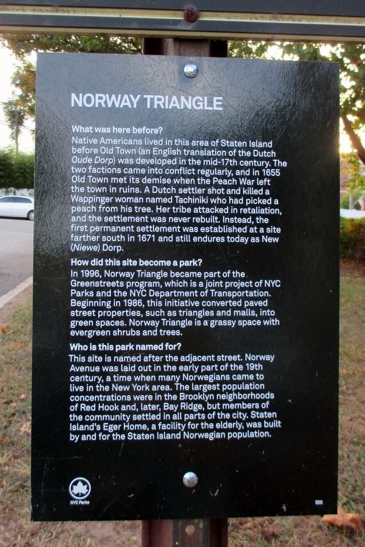 Norway Triangle Marker. Click for full size. Norway Triangle Marker image. Click for full size.