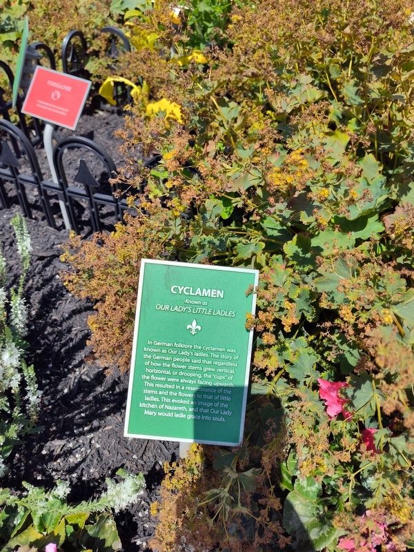 Cyclamen Marker. Click for full size. Cyclamen Marker image. Click for full size.