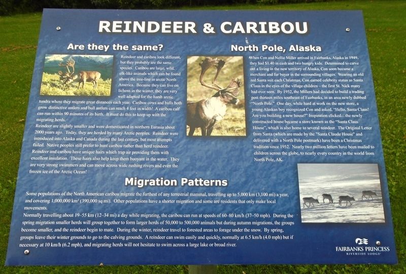 Reindeer & Caribou Marker. Click for full size. Reindeer & Caribou Marker image. Click for full size.