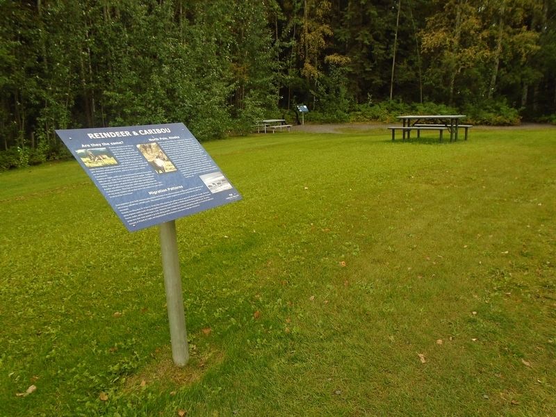 Reindeer & Caribou Marker. Click for full size. Reindeer & Caribou Marker image. Click for full size.