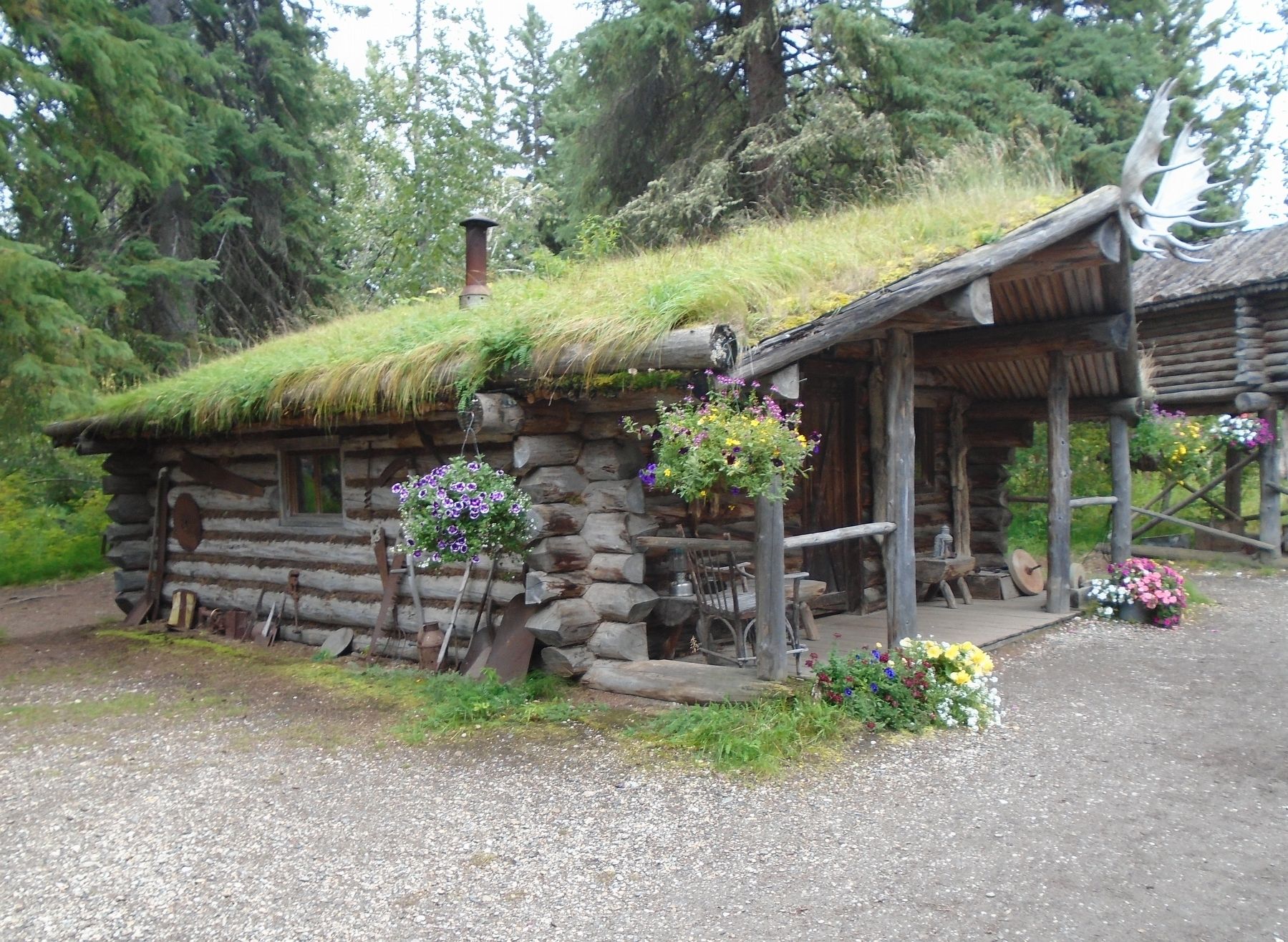 Trapper's Log Cabin image. Click for full size.