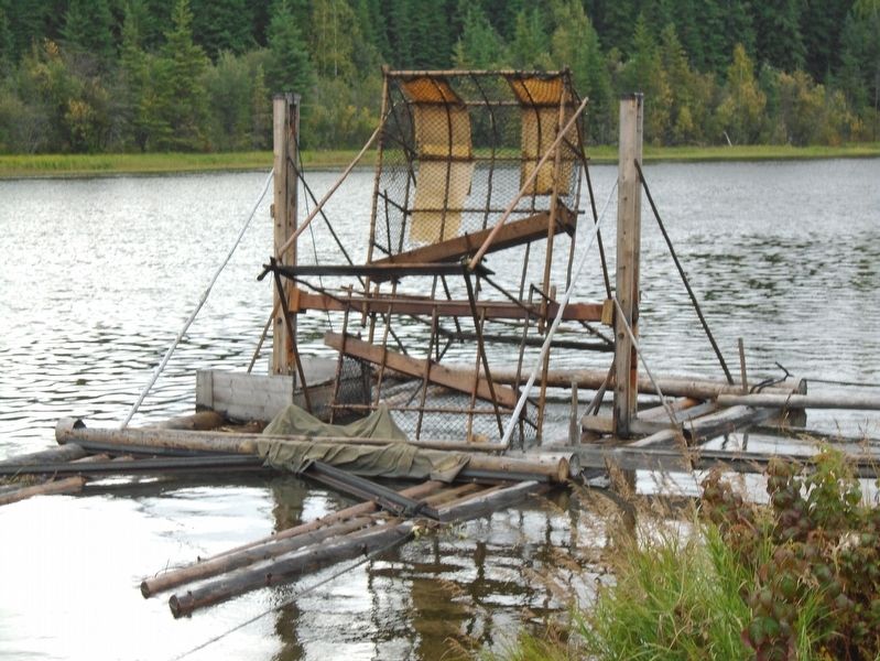 Fish Camp Operating Fish Wheel image. Click for full size.