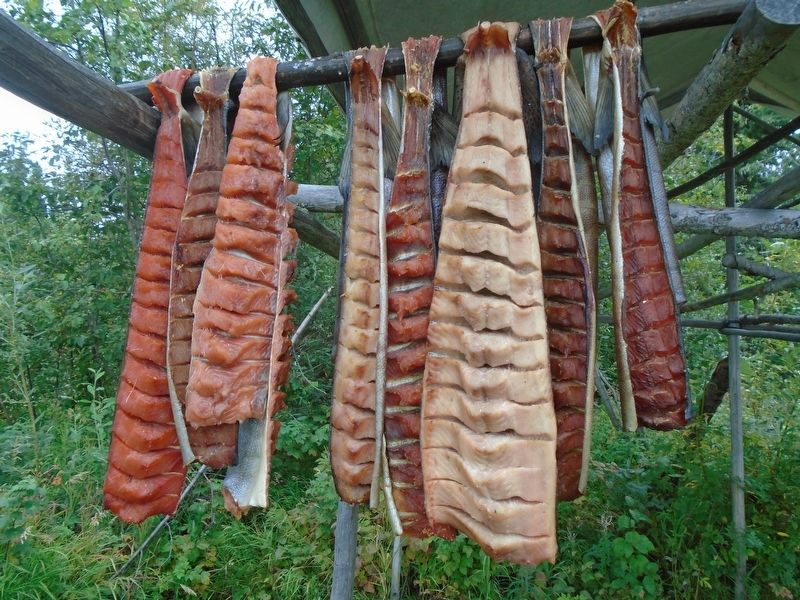 Fish Camp Salmon Drying image. Click for full size.