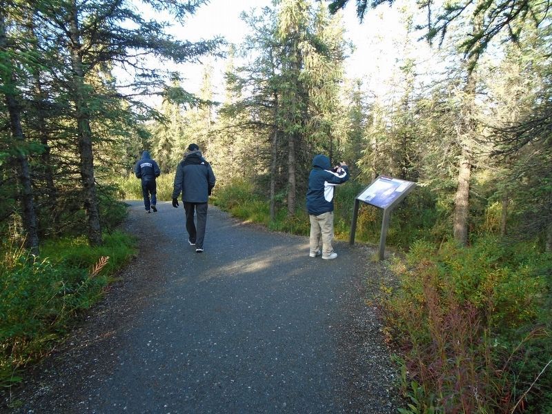 <i>Road to Wildness</i> Marker image. Click for full size.