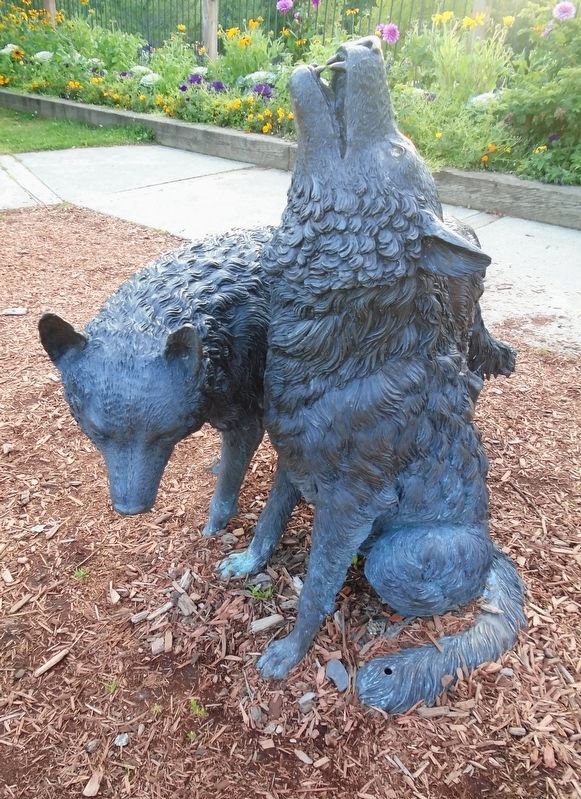 Wolves Sculpture near Marker image. Click for full size.