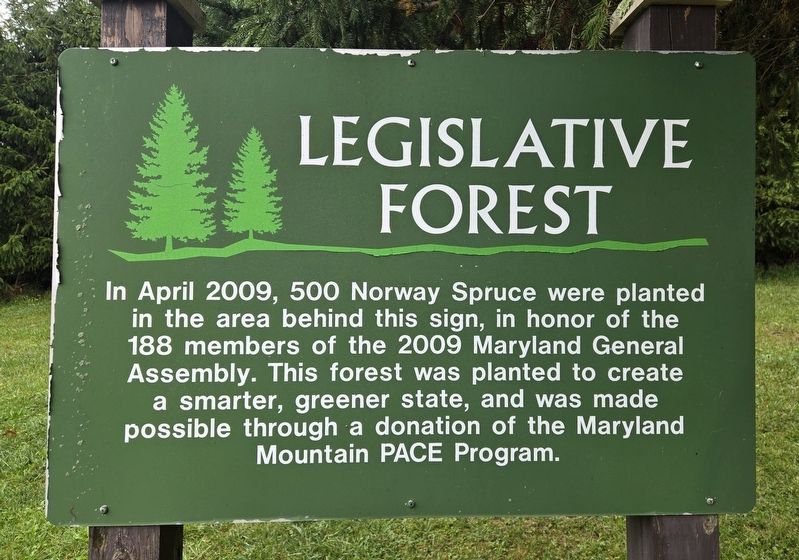 Legislative Forest Marker. Click for full size. Legislative Forest Marker image. Click for full size.