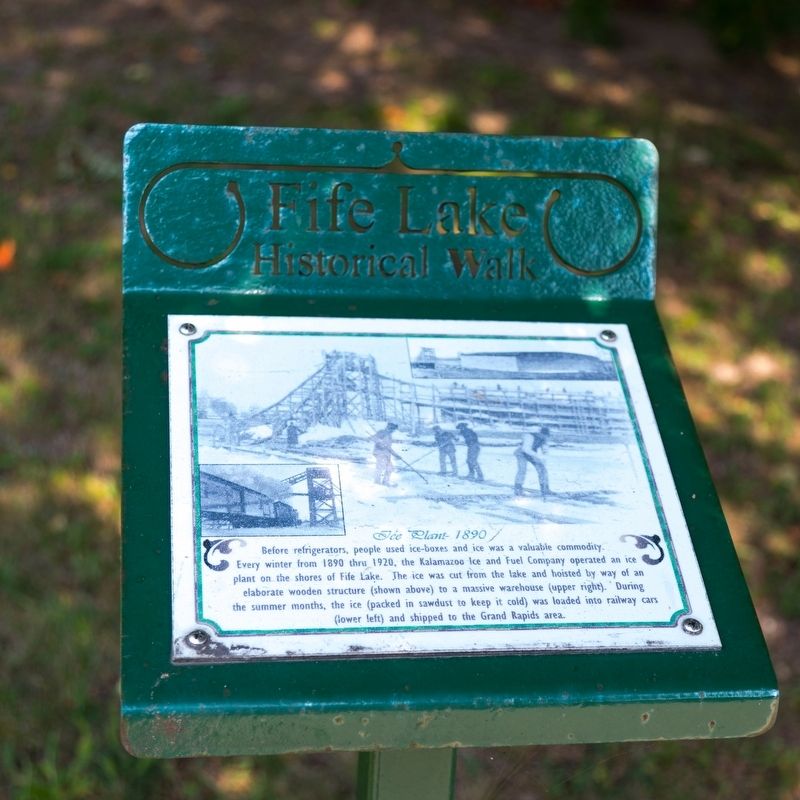 Ice Plant Marker image. Click for full size.