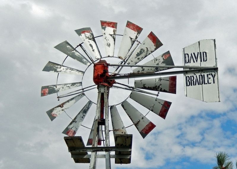 David Bradley Windmill Detail image. Click for full size.