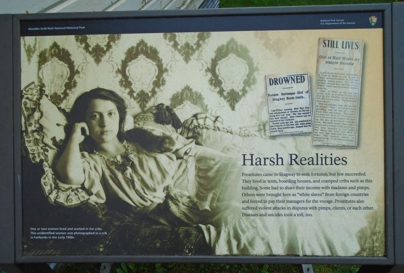 Harsh Realities Marker. Click for full size. Harsh Realities Marker image. Click for full size.